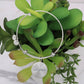 Luxury Circle Bangle